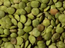Masoor Dal