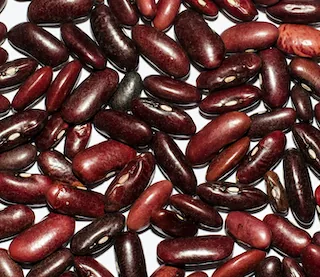 Rajma
